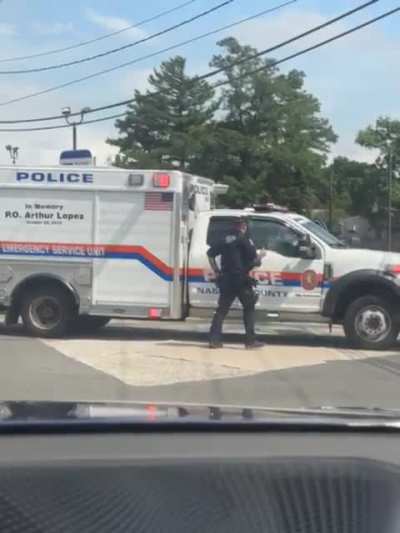 Attempted carjacker fucked around and found out (Long Island, NY)