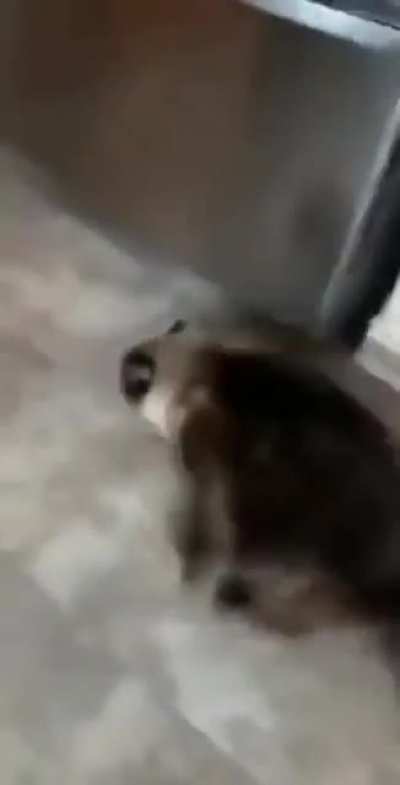 Эвакуация
