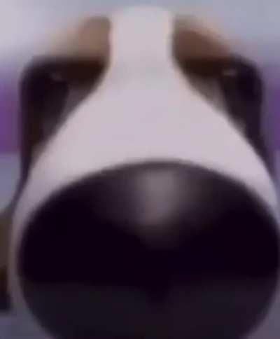 Sus