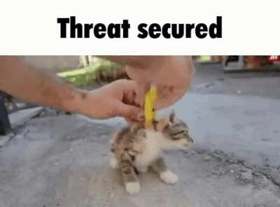 :) mods be kind it&rsquo;s a nice gif