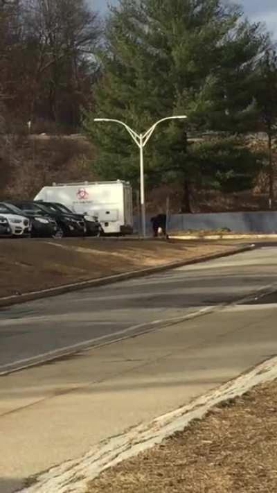 me walking right into an unlocked biohazard truck in front of the school staff