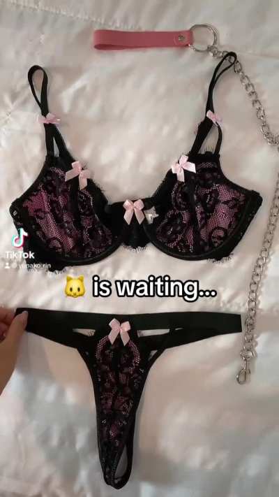 🐱 is waiting…