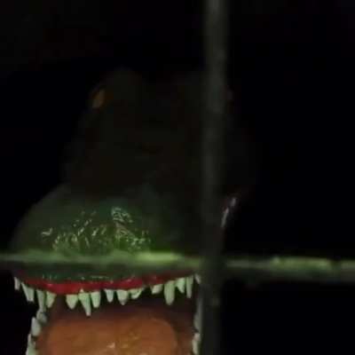 Submersible animatronic croc in the woods.
