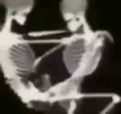 💀 PODE ISSO FAM&Iacute;LIA OSSUDA???☠️