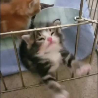 I must escape!