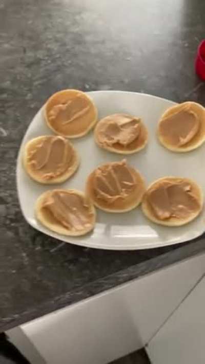 Chocolate-
