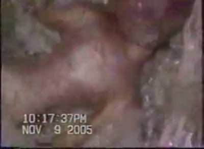 Does anyone have any further information on this video? I found it and it was labelled &ldquo;Alien found in military base&rdquo;
