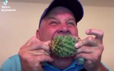 How does one eat a cactus