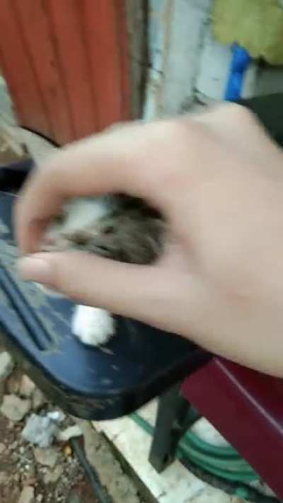 Pressing the nose