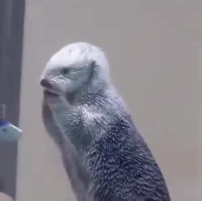 He&rsquo;s like... am I ok?
