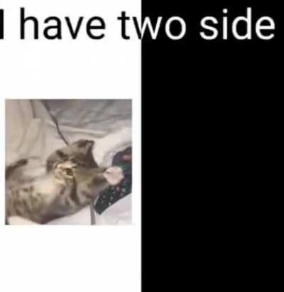I have two sides: 