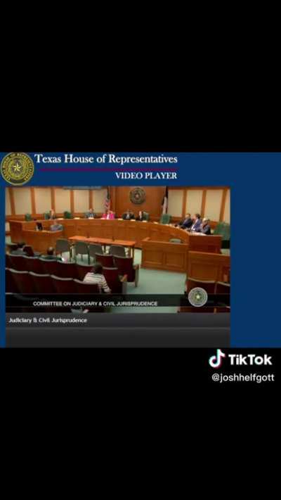 Texas House calls some interesting witnesses for anti-trans bill