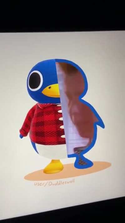 A look inside Roald