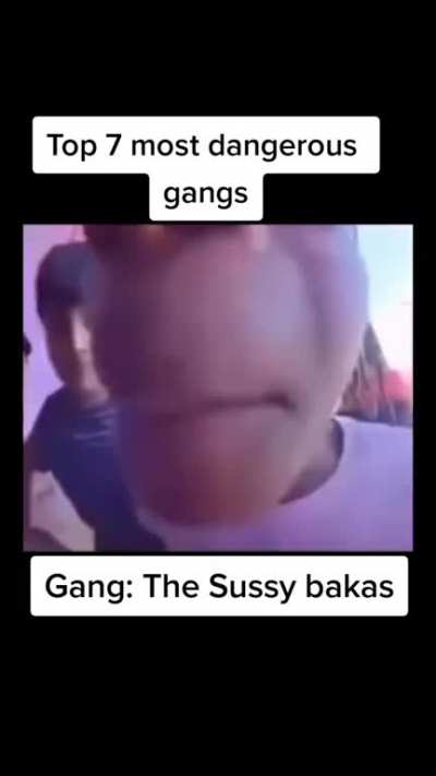 gang