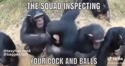Inspeccion diaria de pana 😀😈👌🏼🕋🕋😘