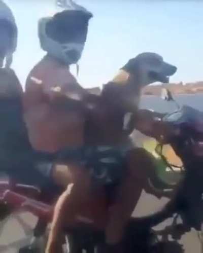 Skillful rider