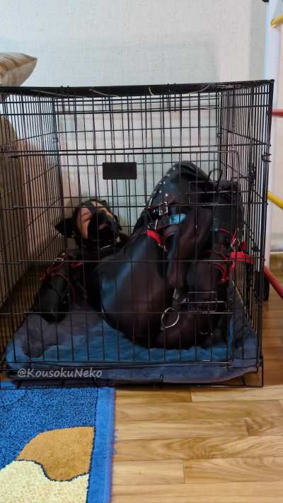 Once someone asked me &ldquo;Why lock the cage with a padlock if you&rsquo;re already helpless in that suit?&rdquo; Well&hellip; here&rsquo;s your answer 🤭