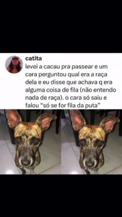 kkkkkk