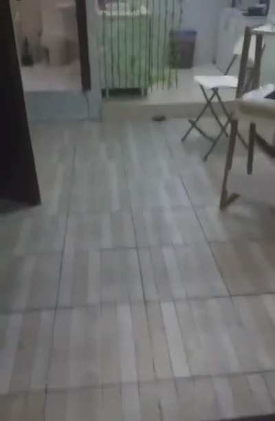 Eve fare girmiş