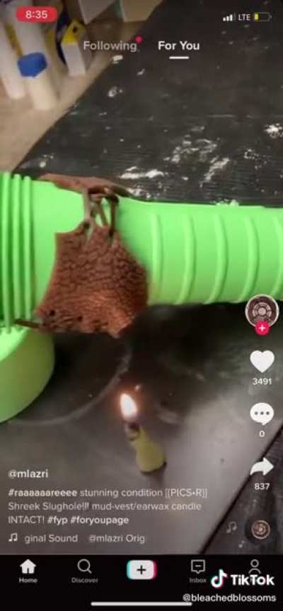I get why ppl hate tiktok