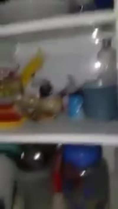E a&iacute; Ratatui
