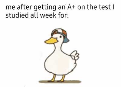 absolutelynotme_irl