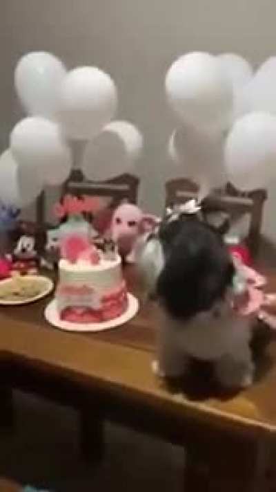 Ah fds, isso &eacute; fofo pra caralho. Que gay kkk