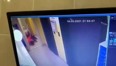Young boy saves his puppy from a pitbull attack. He gets maimed in the process. Owner claimed "My dog ​​is peaceful".