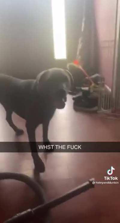 he dont like the big fucking toy