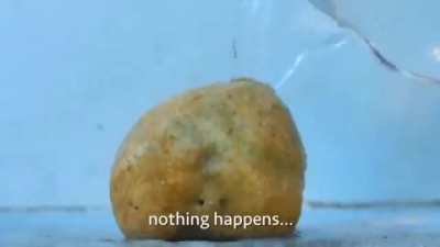 Nothing happens
