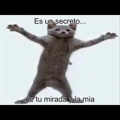 Temazo