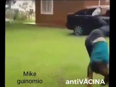polin&ocirc;mio.