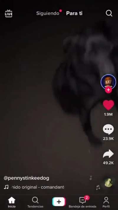 SquarePosting - Video #6860