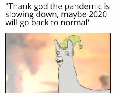 Facts