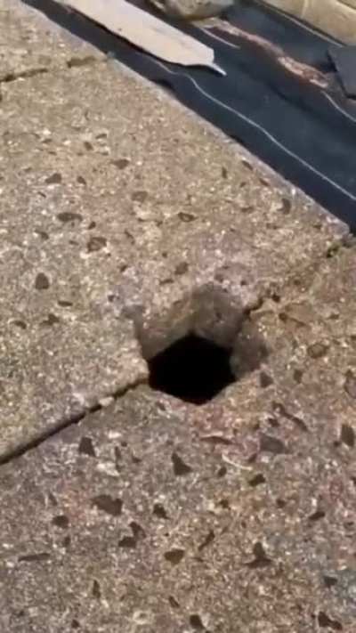 tight squeeze