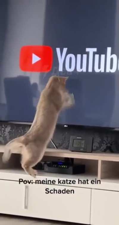 Ооо ютубовое