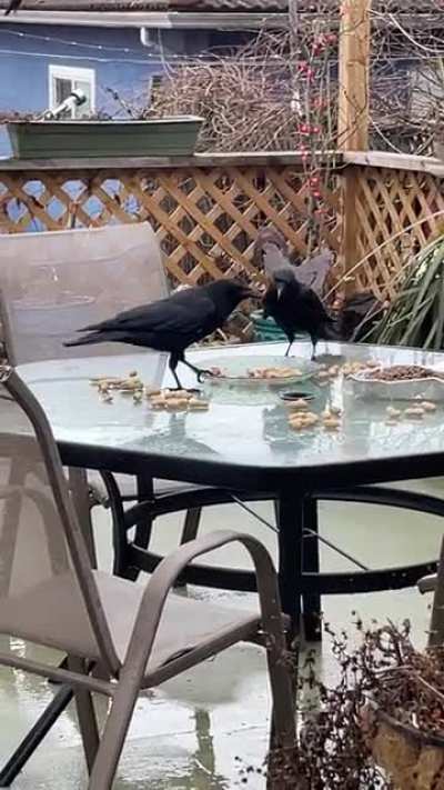 Romeo shares with our little guy&hearts;️