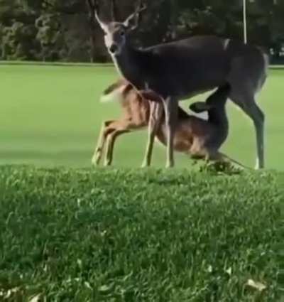 Nice day to go golfing