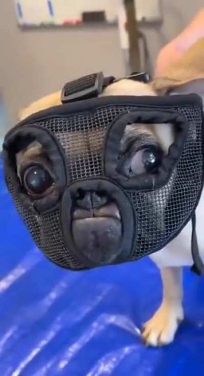 "Hello, Clarice...."