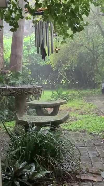 Florida backyard during Thunderstorm today.