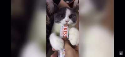 Kitty is angy