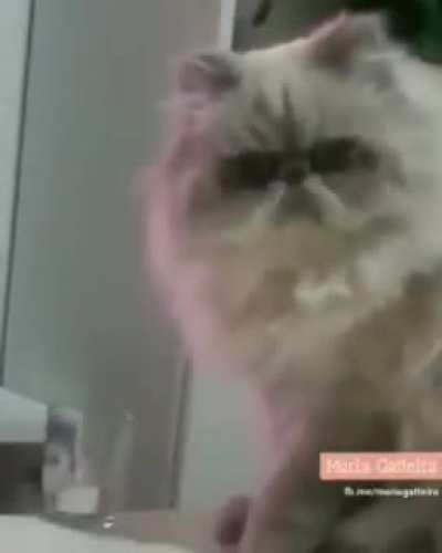 Caguei para voc&ecirc;, humano