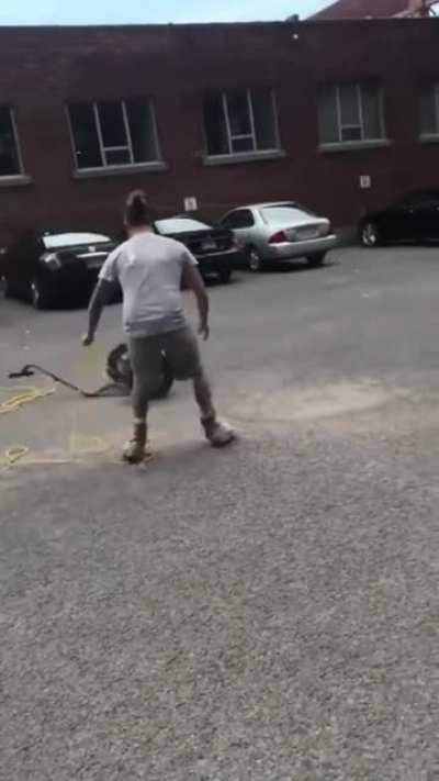 that Segway Roundup./-