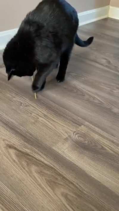 Dozens of toys scattered around the house and what does he choose? Dry pasta&hellip;