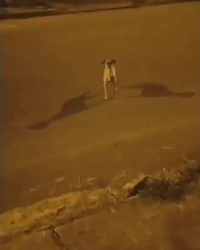 Que onda &eacute; es...