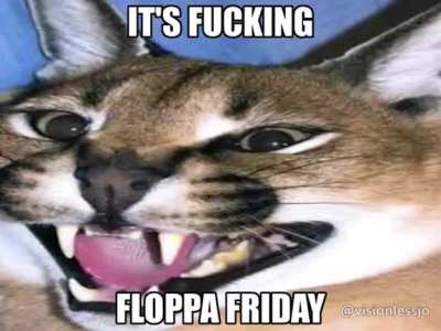 it's fr*cking floppa friday
