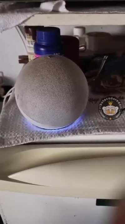 Alexa?
