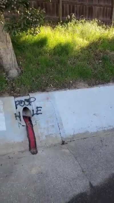 Street art at it's finest.