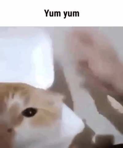 Yum yum