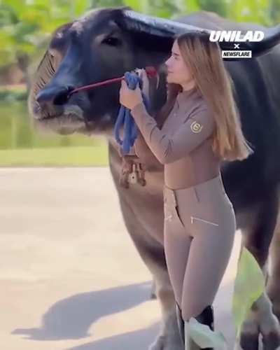 Big and buff Buff